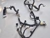 Front door wiring loom 241252608R