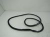 Rear door rubber seal (on body) 