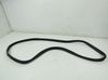 Rear door rubber seal (on body) 