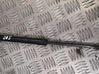 Tailgate/trunk strut/damper 