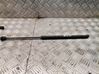 Tailgate/trunk strut/damper 
