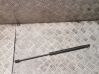 Tailgate/trunk strut/damper 