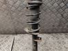 Front shock absorber with coil spring 