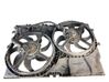 Fan set 