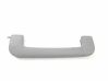 A set of handles for the ceiling 4B0857607