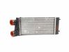 Intercooler radiator 9648551880