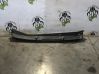 Moldura del limpia C10010021