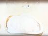 Rear door sound insulation 828644250R
