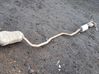 Muffler/silencer 39153838