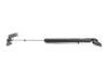 Tailgate strut C23562620E