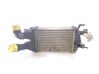Chłodnica powietrza doładowującego / Intercooler 13213402