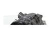 Compresor (bomba) del aire acondicionado (A/C)) 9520068LD1