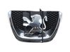 Maskownica / Grill / Atrapa górna chłodnicy 9800313880