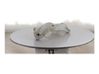 Windshield washer fluid reservoir/tank 2236385
