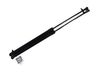 Tailgate strut 904504EA1A