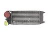 Intercooler radiator Y63513550C