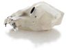 Windshield washer fluid reservoir/tank 289100004R