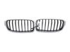 Maskownica / Grill / Atrapa górna chłodnicy 51137260497