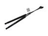 Tailgate strut 8177007020