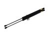 Tailgate strut 8731R6