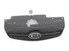 Maskownica / Grill / Atrapa górna chłodnicy 863611G210