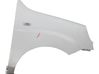 Fender 51754845