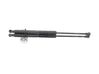 Tailgate strut 904524666R
