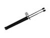 Tailgate strut 8186084M00