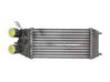 Chłodnica powietrza doładowującego / Intercooler 9803900780