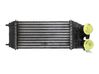 Chłodnica powietrza doładowującego / Intercooler 9803900780