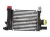 Chłodnica powietrza doładowującego / Intercooler 144963014R