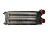 Chłodnica powietrza doładowującego / Intercooler 384L4