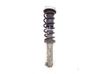 Front shock absorber with coil spring 6767733