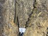 Rear door cable line 09229099