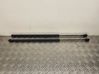 Tailgate/trunk strut/damper 2S61A406A10AC