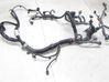 Other wiring loom 3665060R20