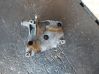 Soporte de montaje del motor (Usadas) 7787319