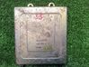 Engine control unit/module MD172004