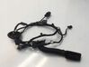 Rear door wiring loom 81A971687AE