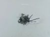 Tie down hook / loop 964634476002