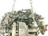 Motor Z20D1