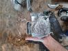 ABS control unit/module 265231306