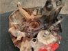 Front wheel hub spindle knuckle 
