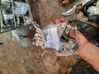 Tailgate window lock/catch/latch 