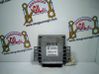 Engine control unit/module IAW48P10