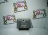 Engine control unit/module 90508976