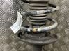 Front shock absorber with coil spring 1628564280