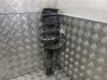Front shock absorber with coil spring 1710069