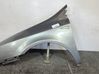 Fender 8200778969