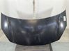 Engine bonnet/hood 7901R1
